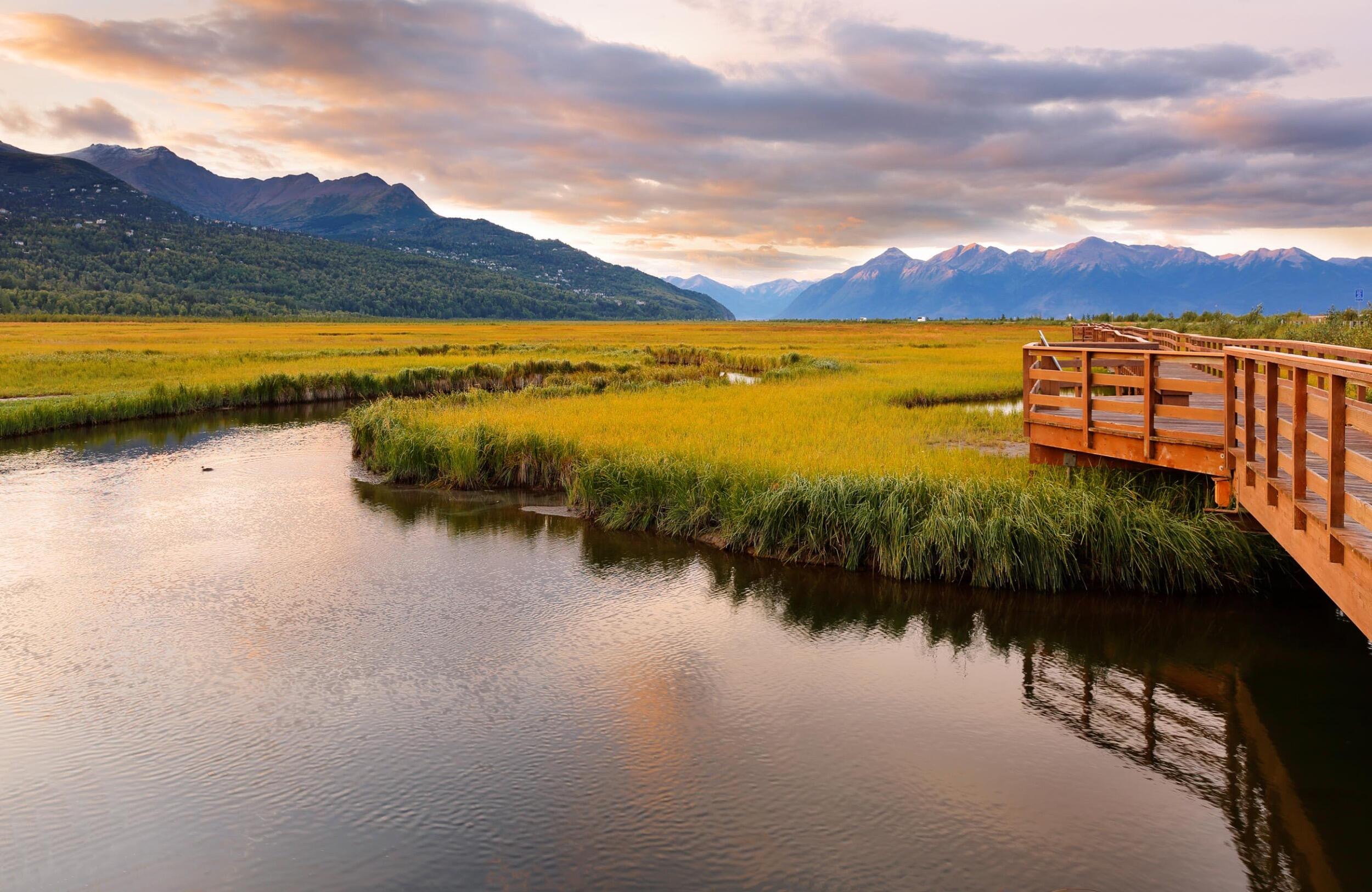 Picture of Potter Marsh Wildlife Viewing Boardwalk