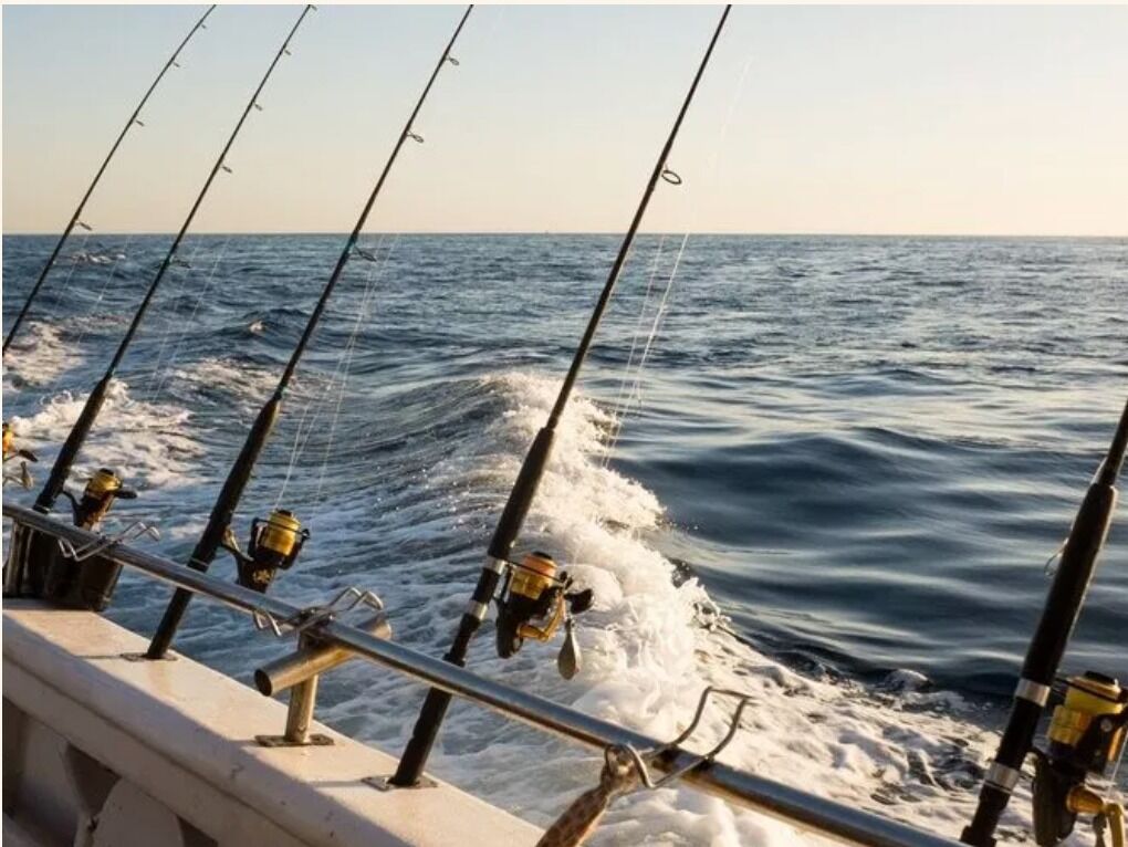 Picture of November Rain Charters