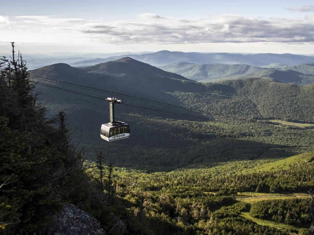 Picture of Summer Tram Ride