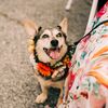 Colorful Cemetery Wedding in Atlanta