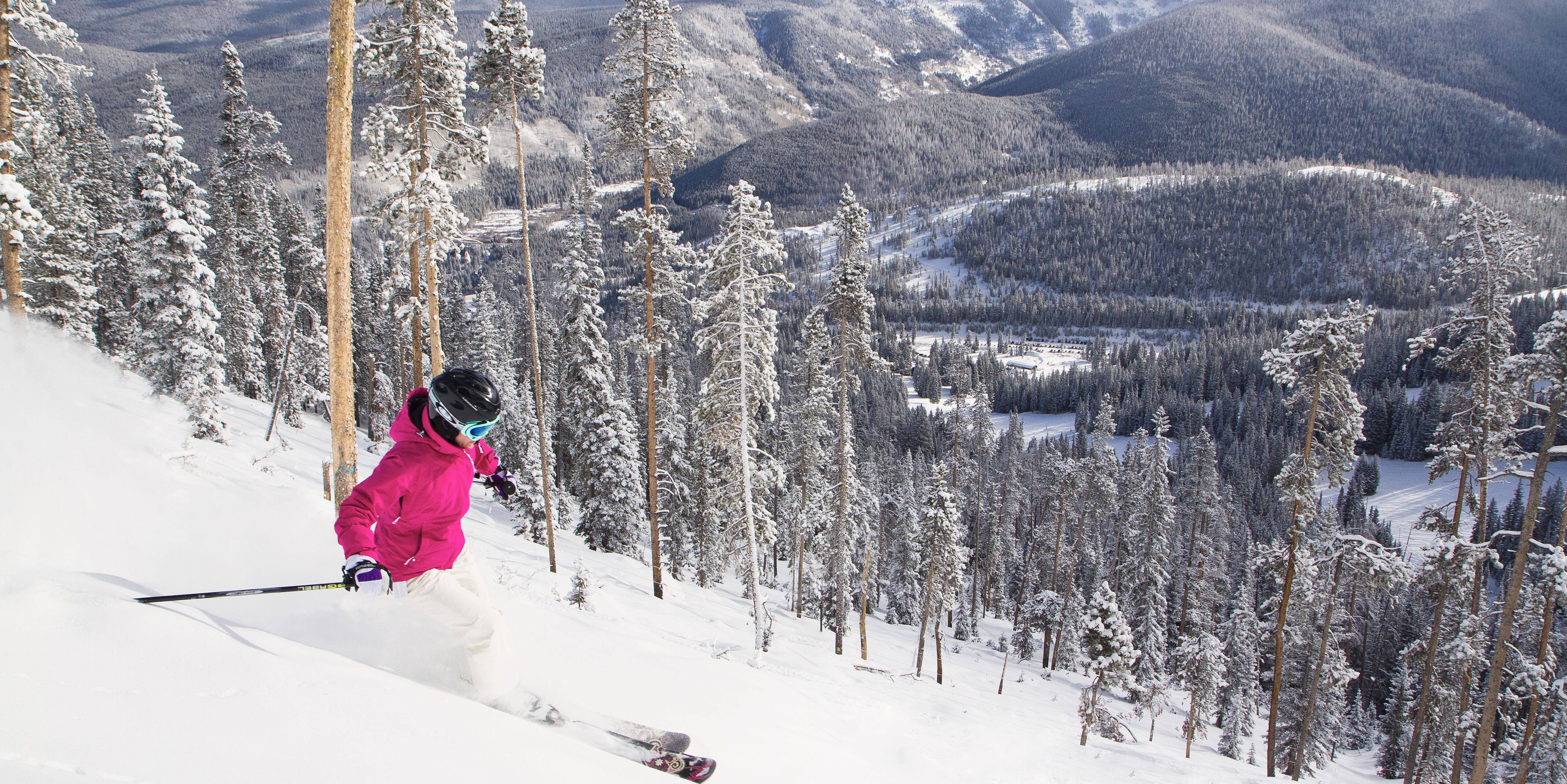 Picture of Ski Winter Park