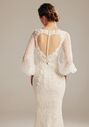 AW Bridal AW Maisie Wedding Dress Mermaid and Trumpet Wedding Dress - thumbnail - 5