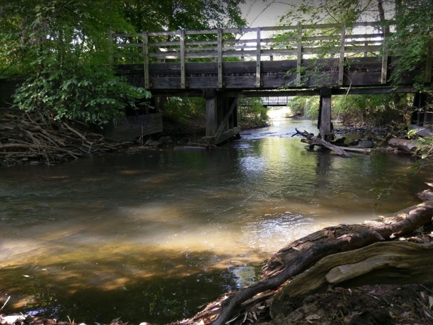 Picture of Dinosaur Hill Nature Preserve