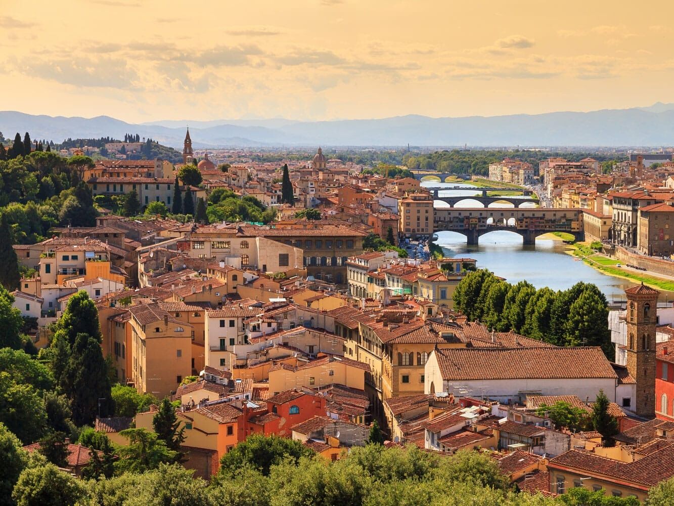 Picture of Day Trip to Florence