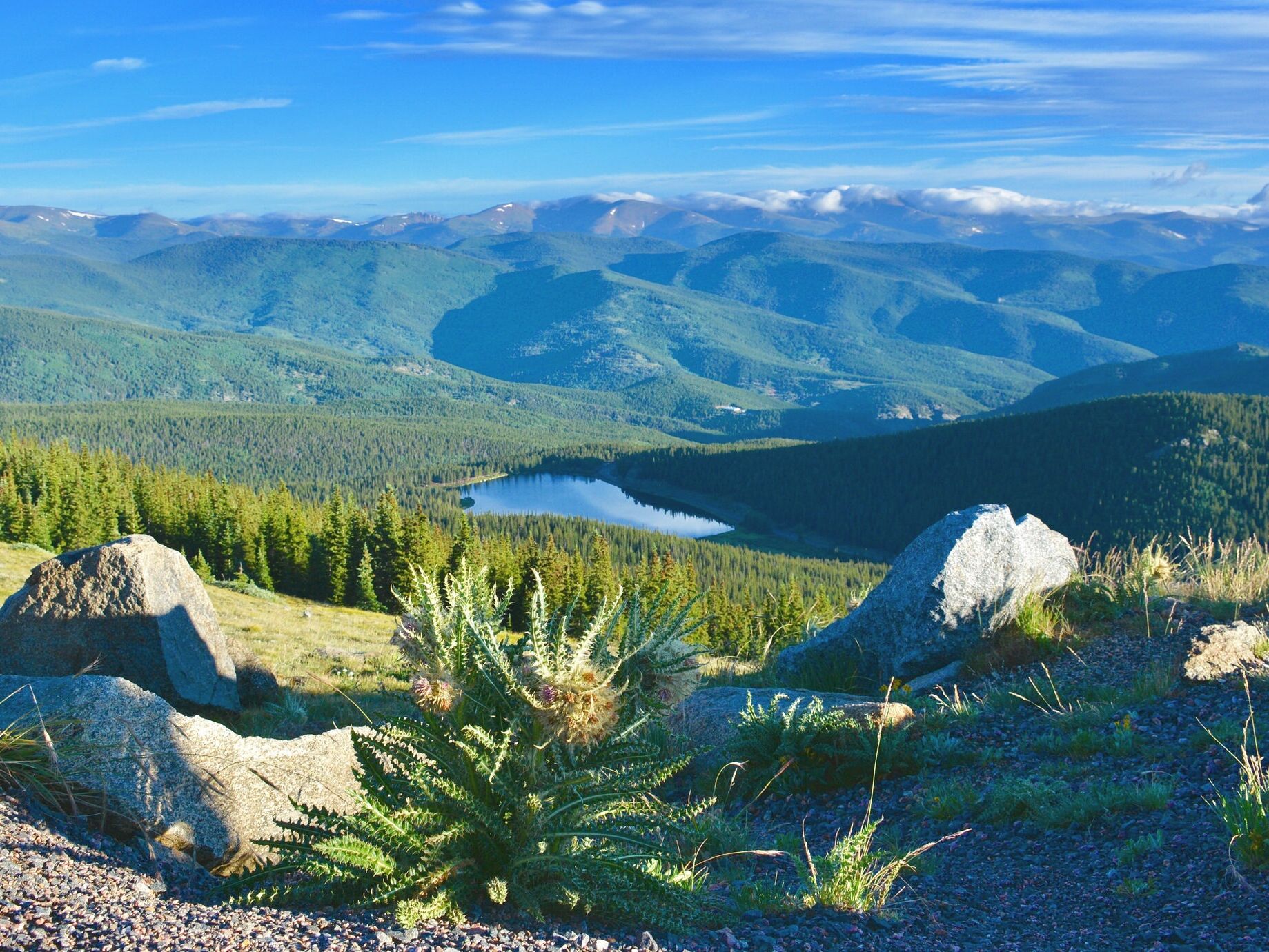 Picture of Hiking in Evergreen
