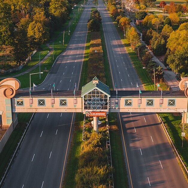 Picture of Toledo Zoo