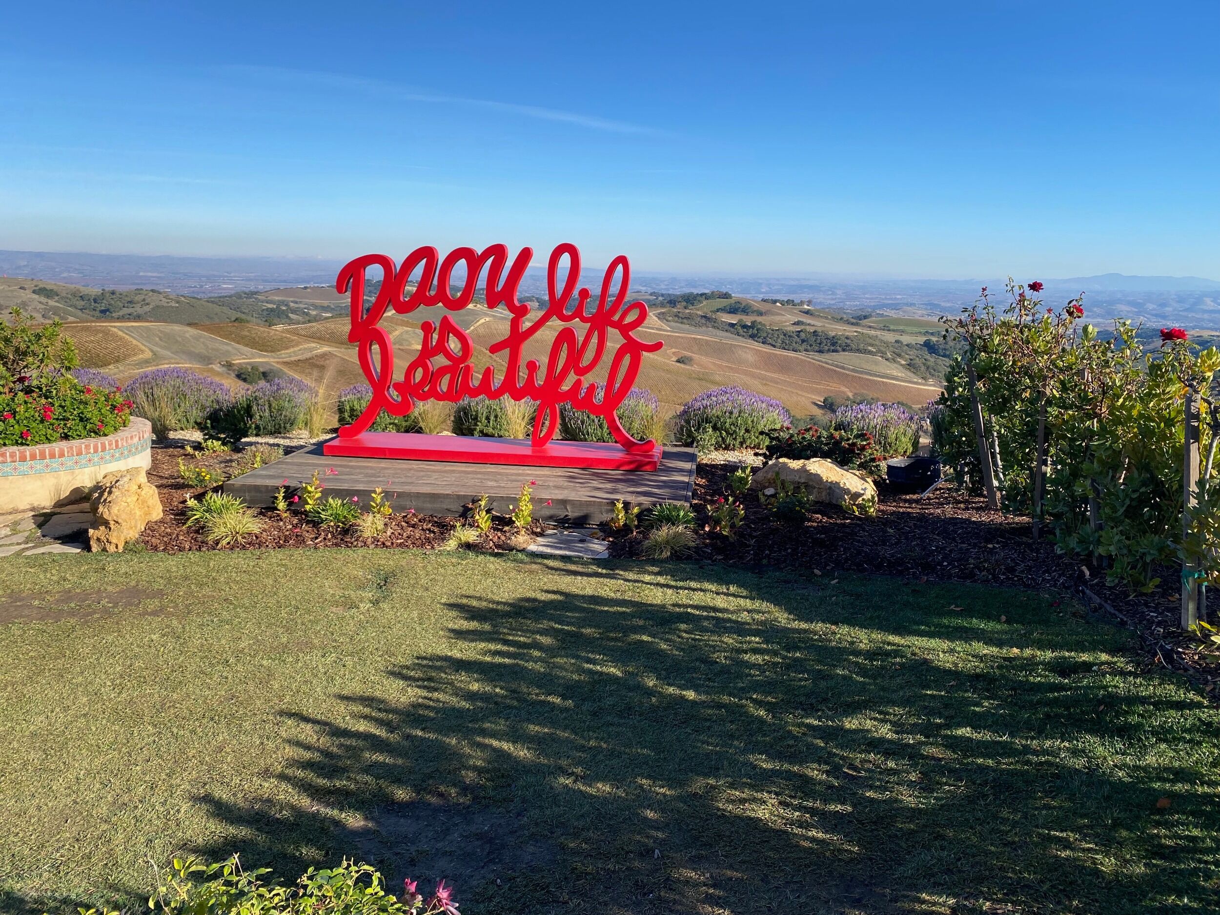 Picture of Wine Tasting