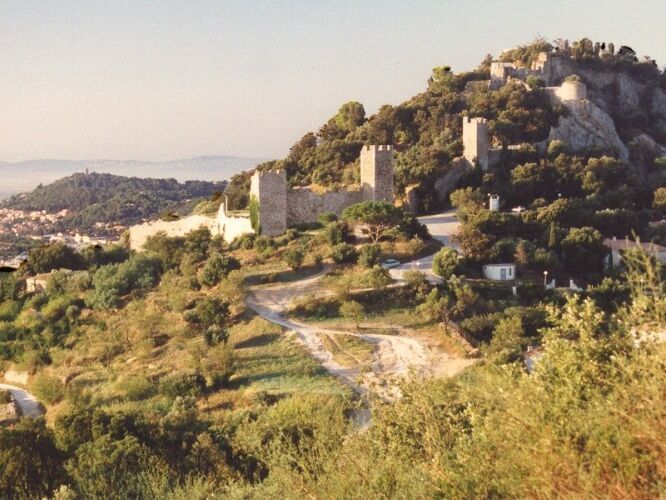 Picture of Watch the sunset at the ruins of Chateau d'Hyères 