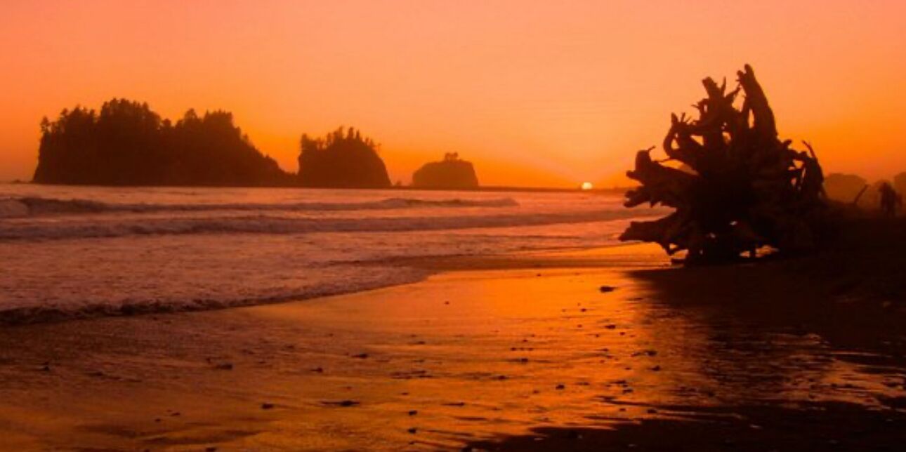 Picture of Lapush Beaches
