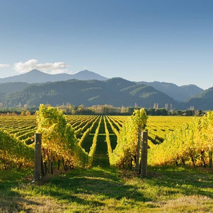Picture of Sonoma Wineries