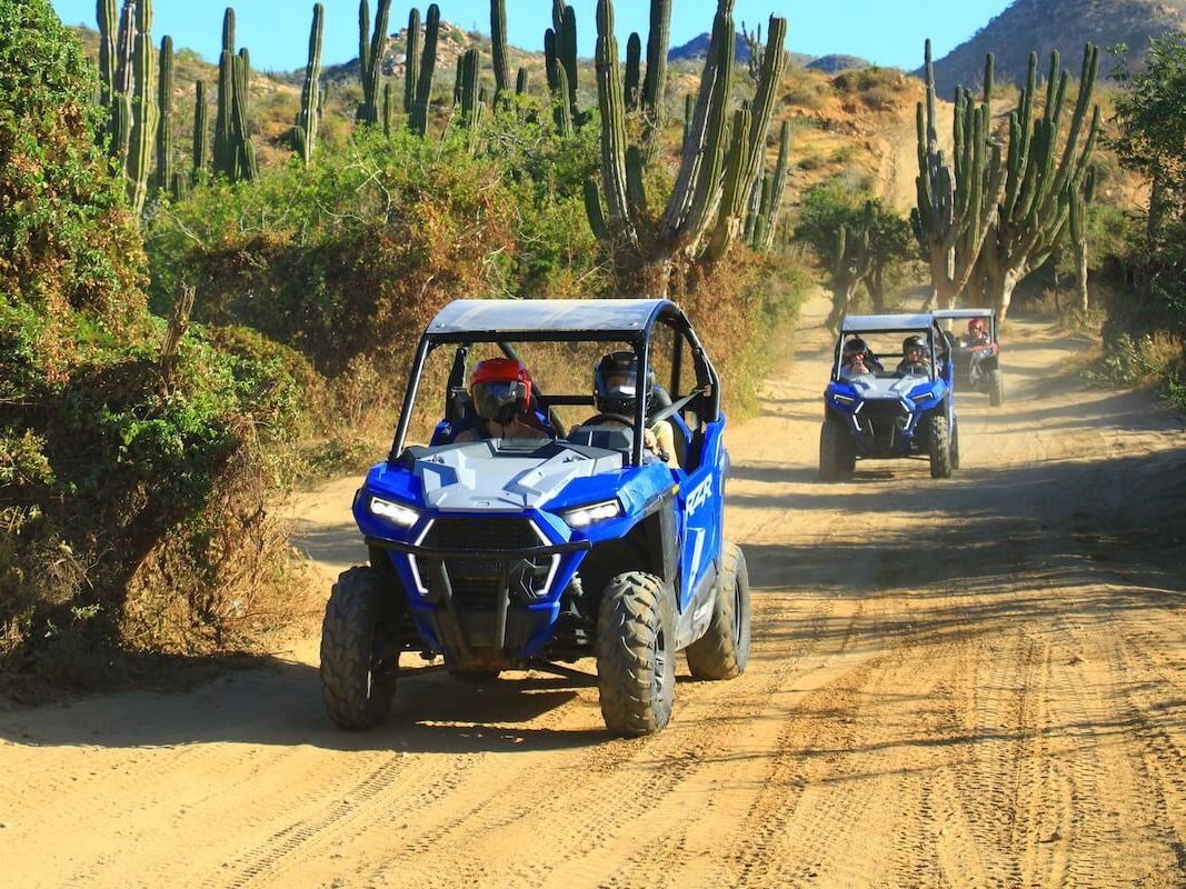 Picture of Cabo Adventures