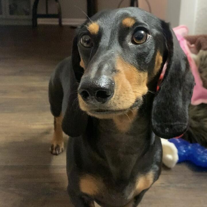 George