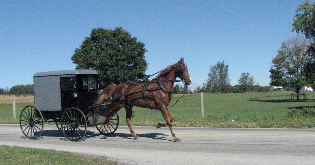 Picture of Aaron and Jessica’s Buggy Rides