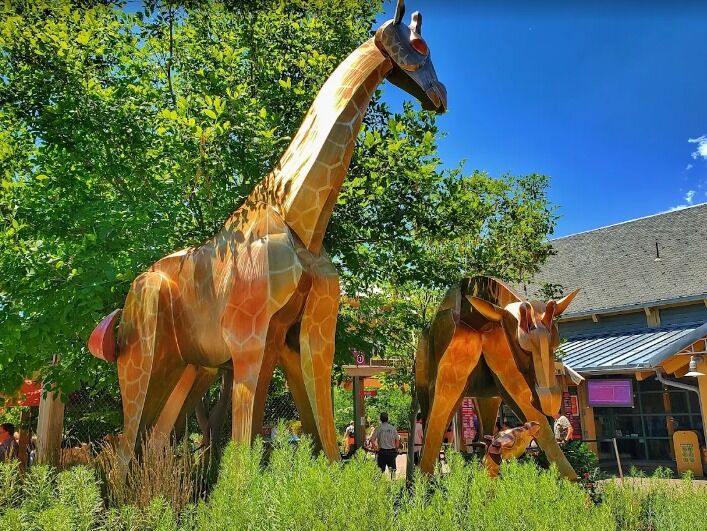 Picture of Denver Zoo