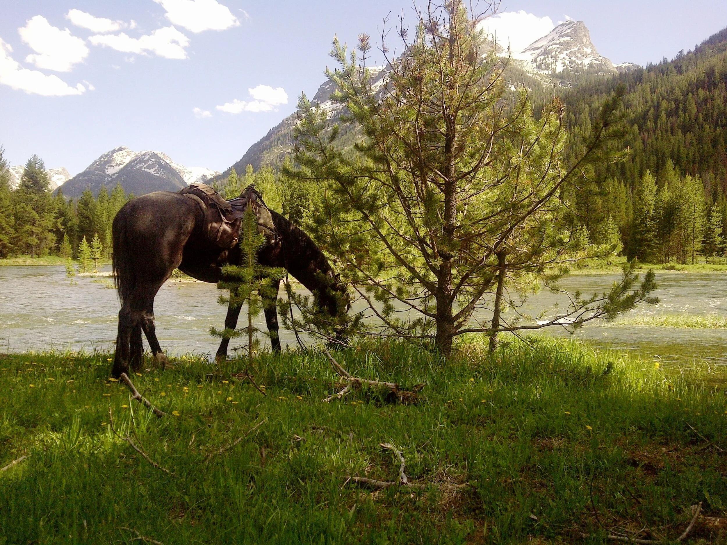 Picture of Leigh Creek Outfitters LLC