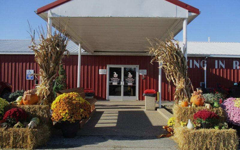 Picture of Flea Land Flea Market Inc
