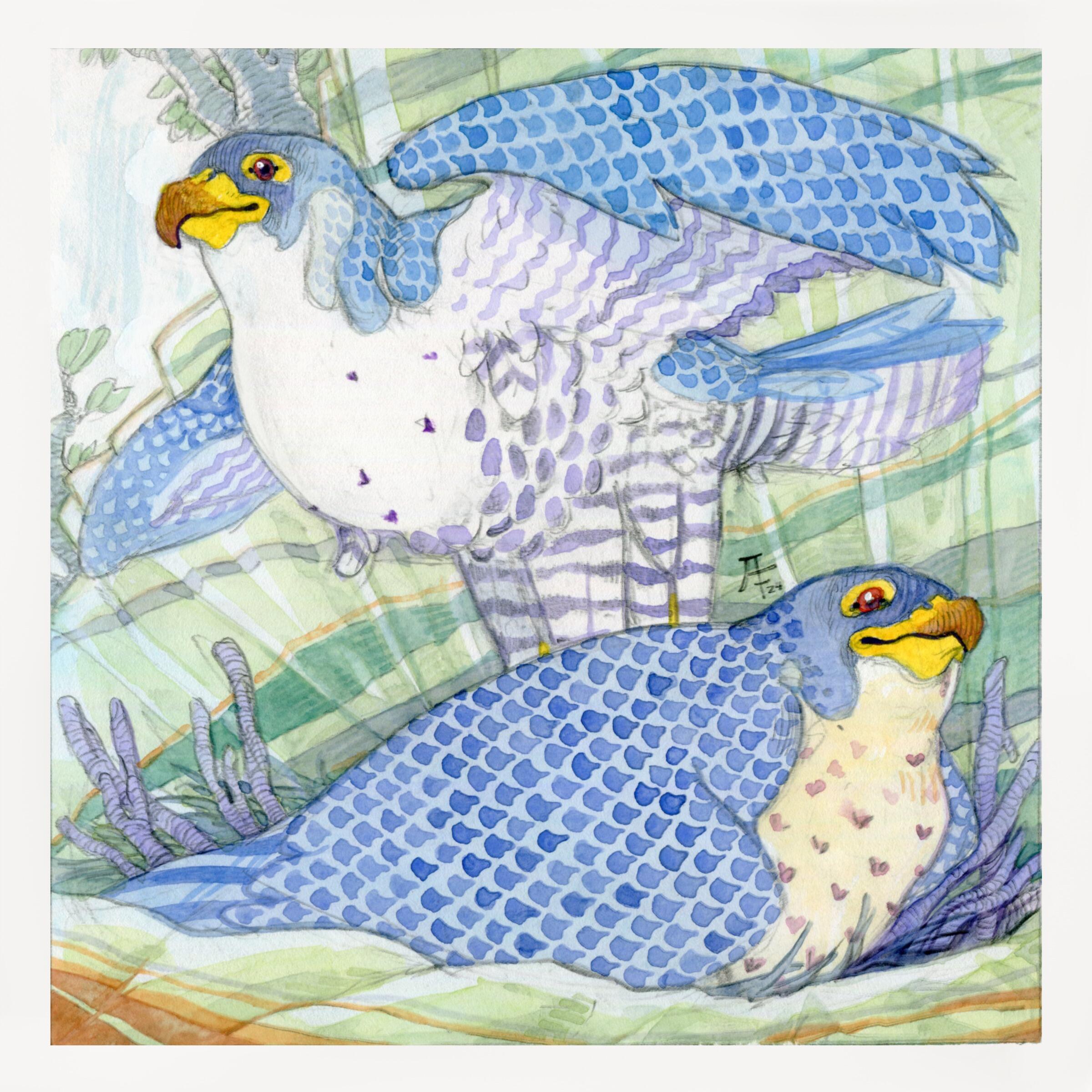 Picture of Alex Finis | Table 5 Peregrine Falcon