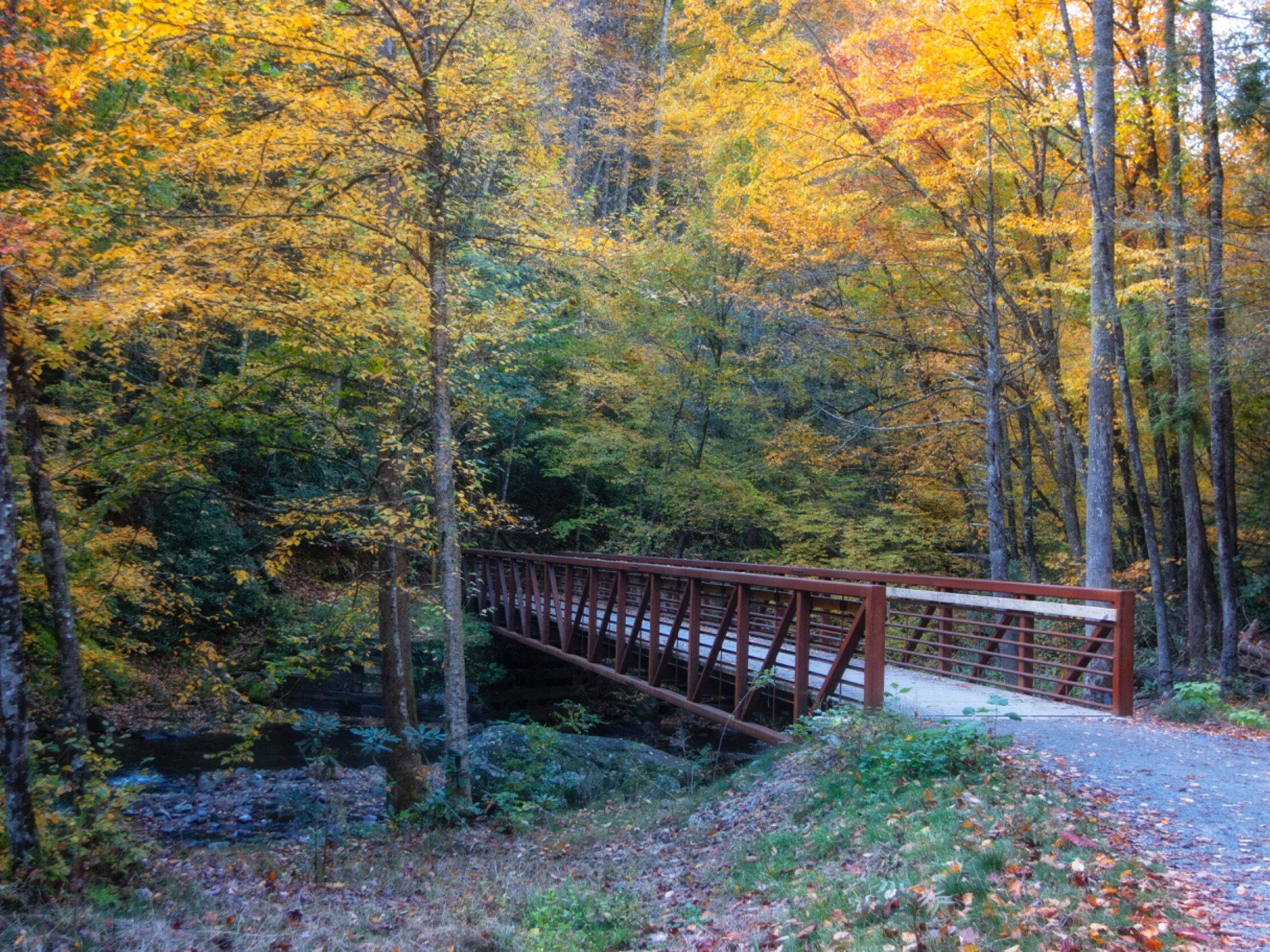 Picture of Virginia Creeper Trail