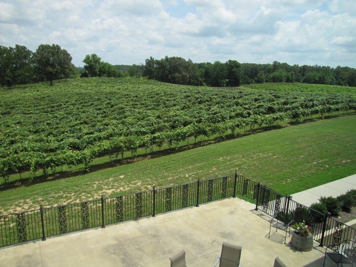 Picture of DelMonaco Winery & Vineyards