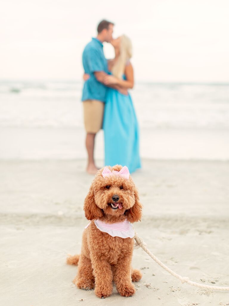 To-be-weds kissing in the background with their dog in front.