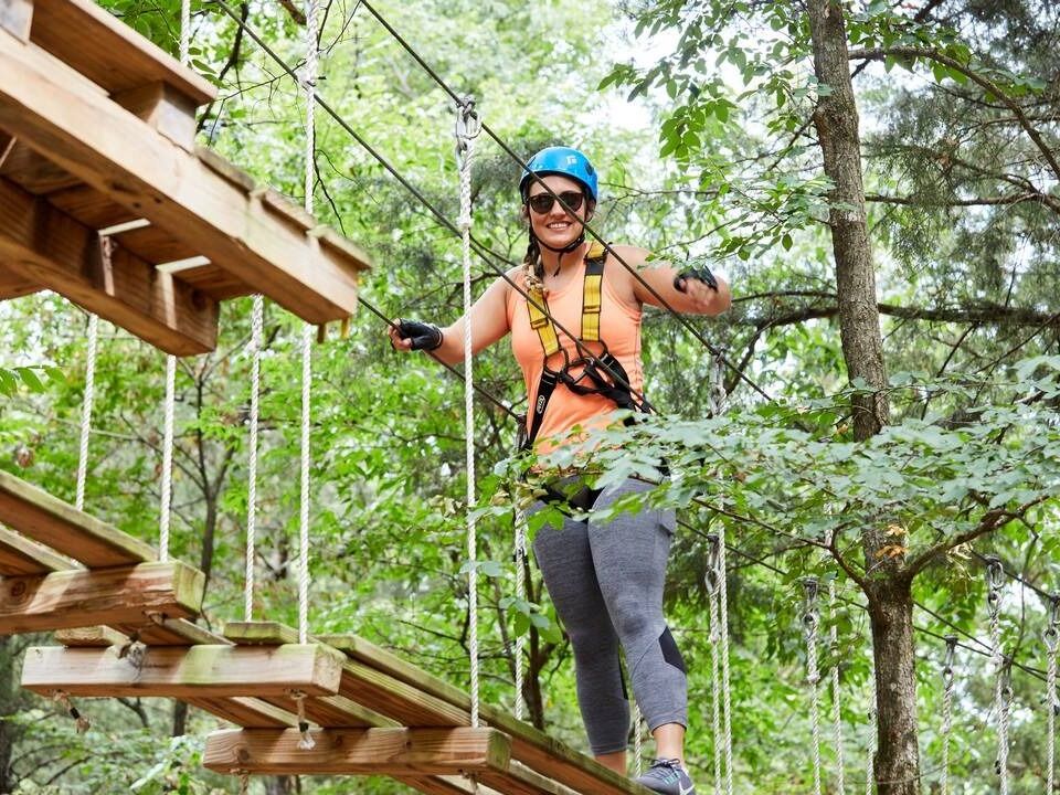 Picture of Trinity Forest Adventure Park