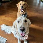 Hallie & Millie