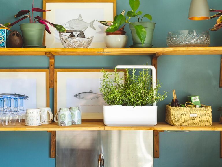 White indoor smart garden on shelf mother-in-law gift idea