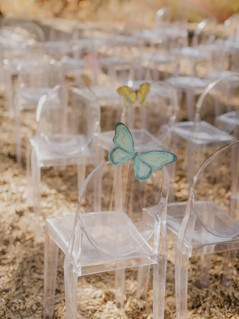 Butterfly Ceremony Chair Decorations
