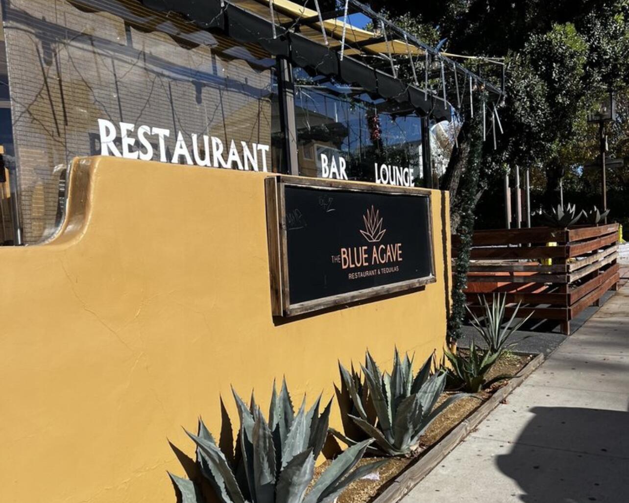 Picture of Blue Agave Restaurant