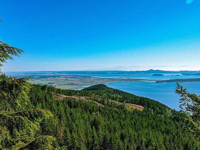 Picture of Hike Oyster Dome Trail