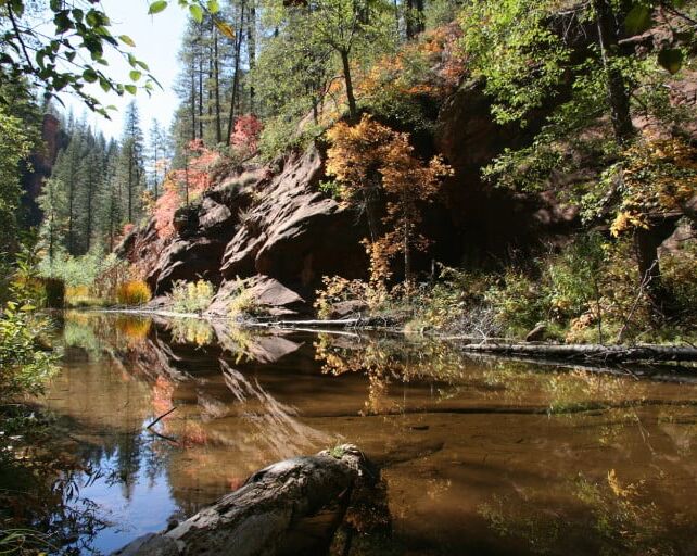 Picture of Oak Creek Canyon