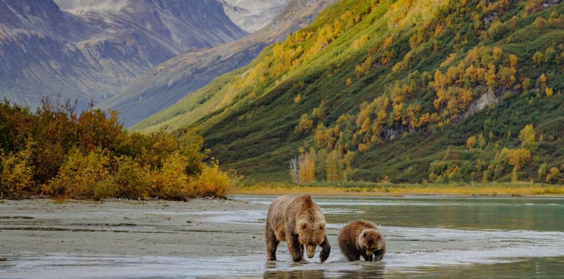Picture of We’re Honeymooning to Alaska!! 