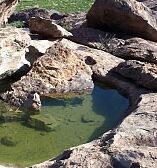 Picture of Hueco Tanks State Park & Historic Site