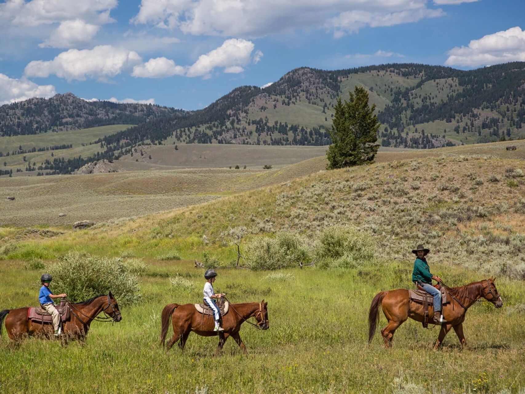 Picture of Horsetrack Outfitters