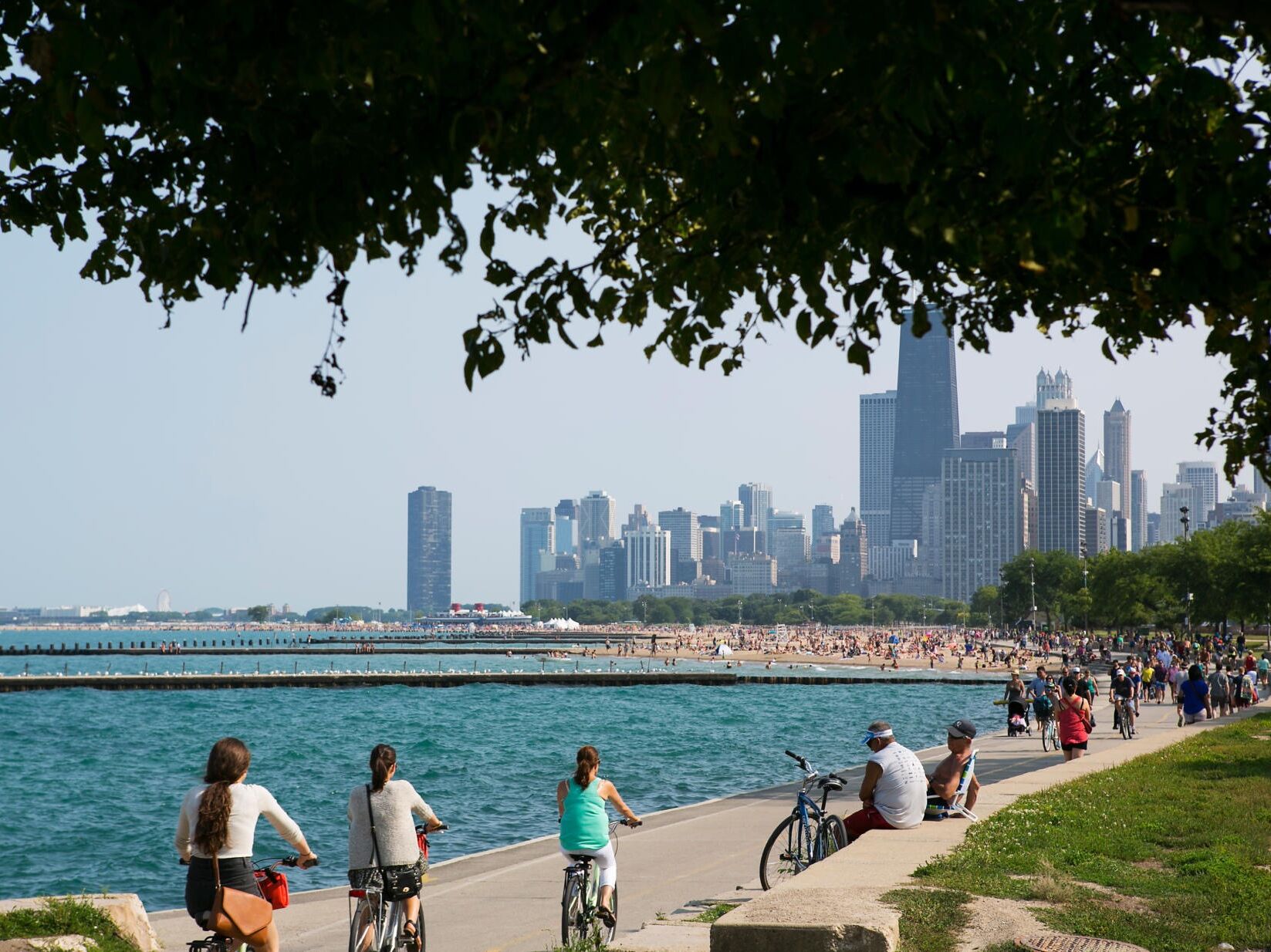 Picture of Lakefront Trail