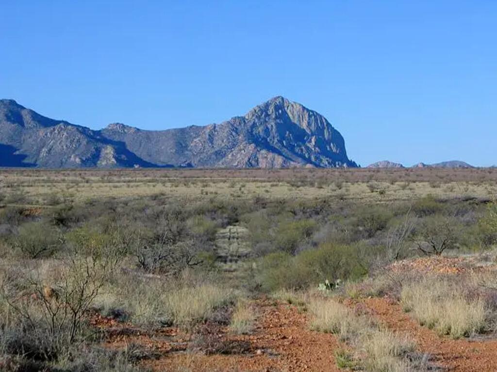 Picture of Madera Canyon Picnic Area