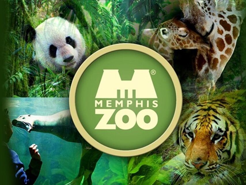 Picture of Memphis Zoo