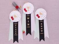 'Place,' 'Win' and 'Show' in gold type on black ribbon, framed by pastel ribbons and white top