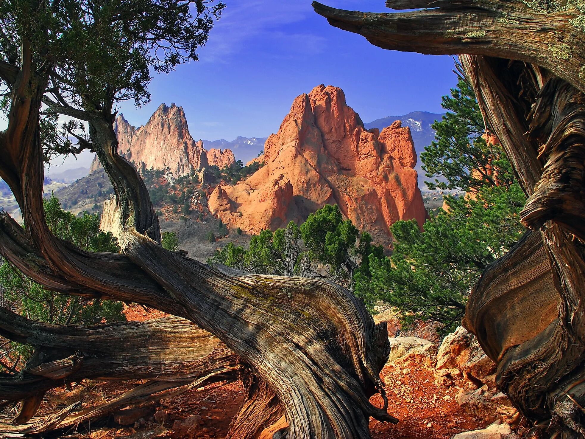 Picture of Garden of the Gods
