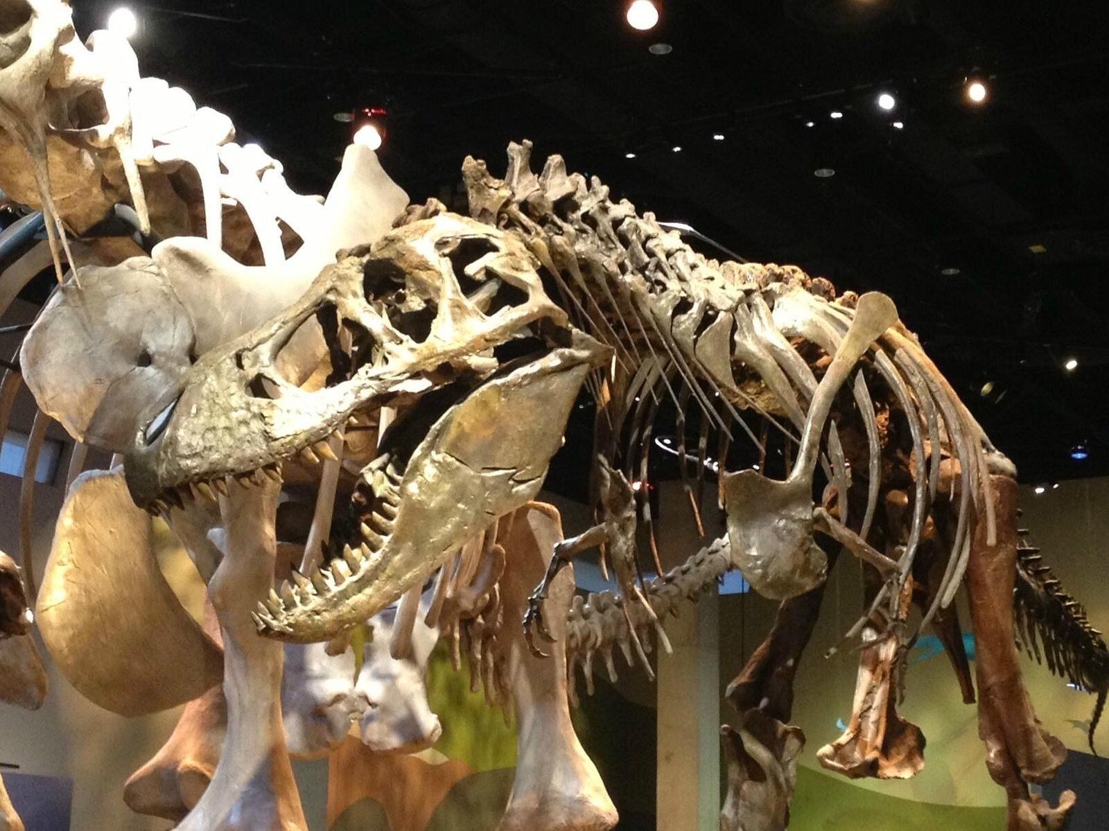 Picture of Perot Museum of Nature and Science
