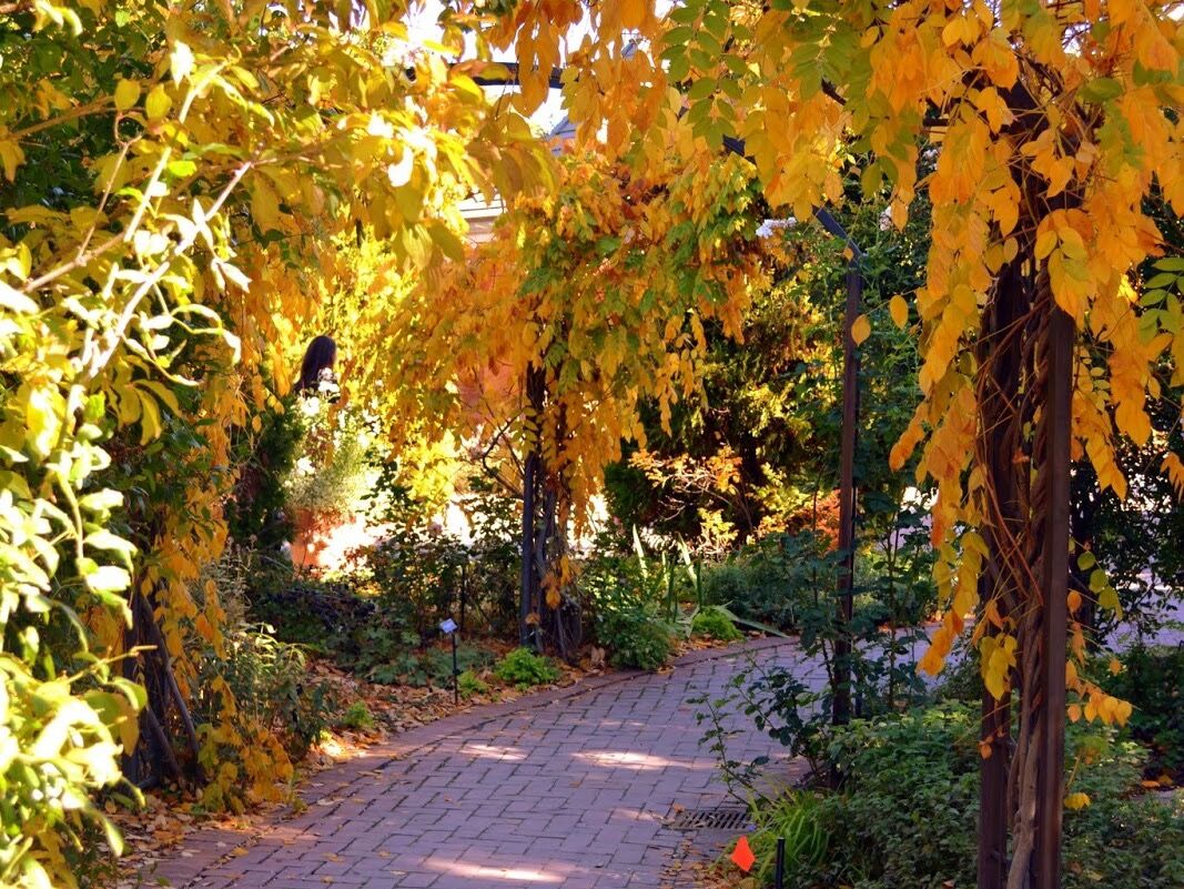Picture of Denver Botanic Gardens
