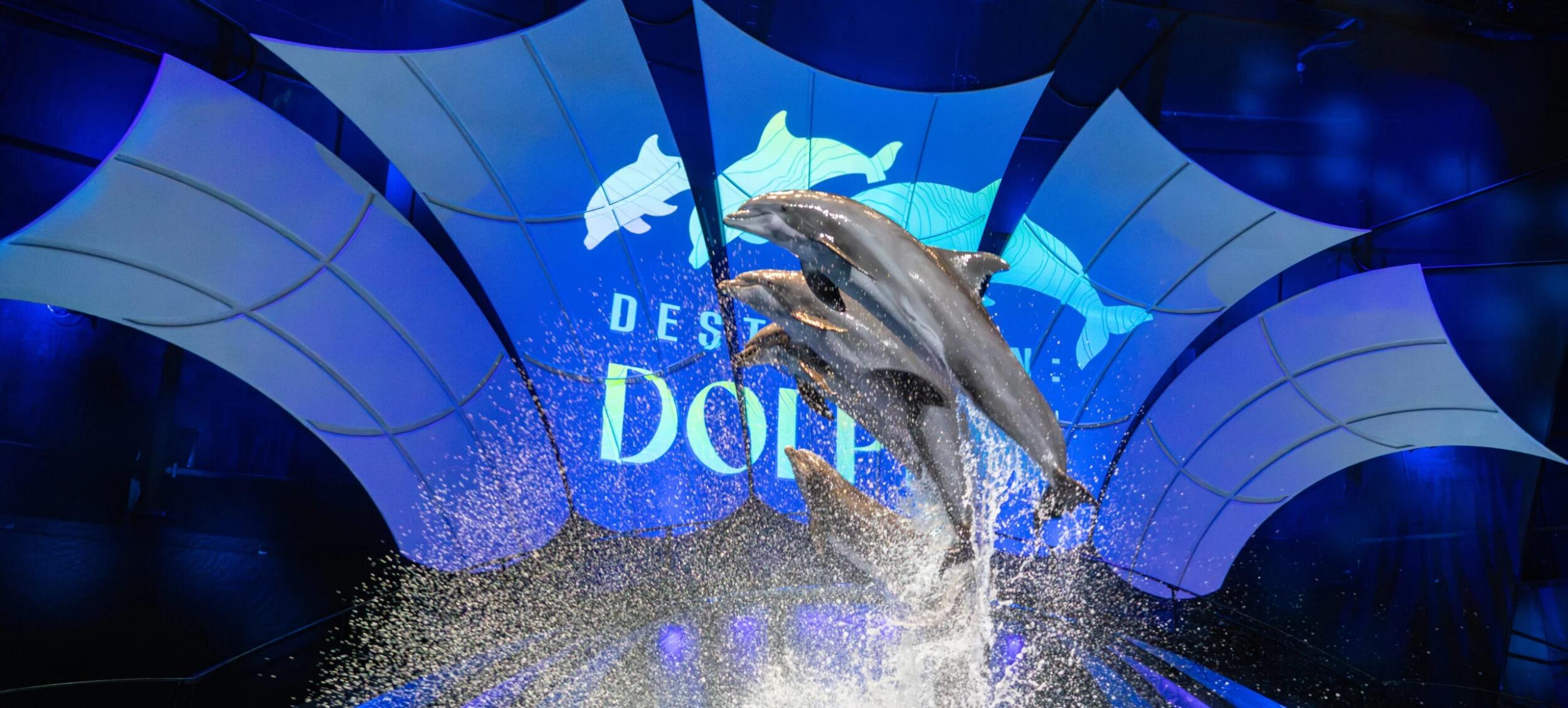 Picture of Georgia Aquarium