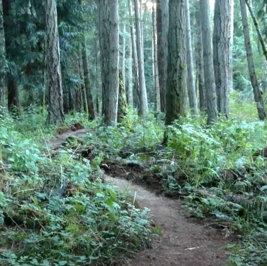 Picture of Hiking