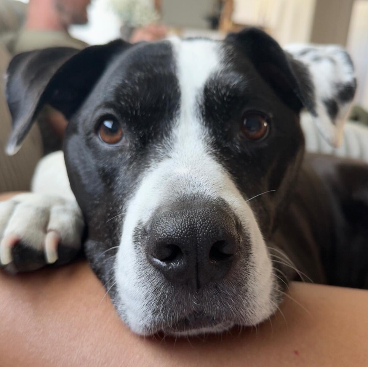 Mia 