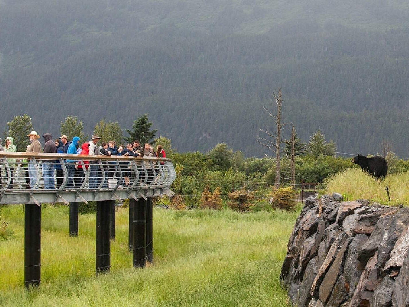 Picture of Alaska Wildlife Conservation Center