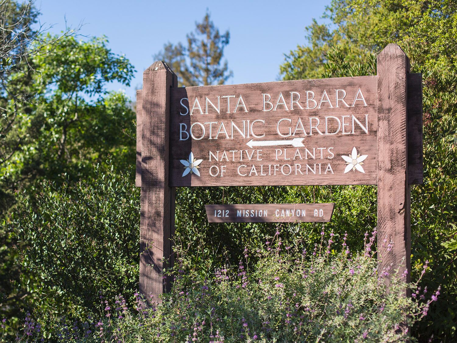 Picture of Santa Barbara Botanic Garden