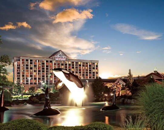 Picture of Tulalip Resort Casino