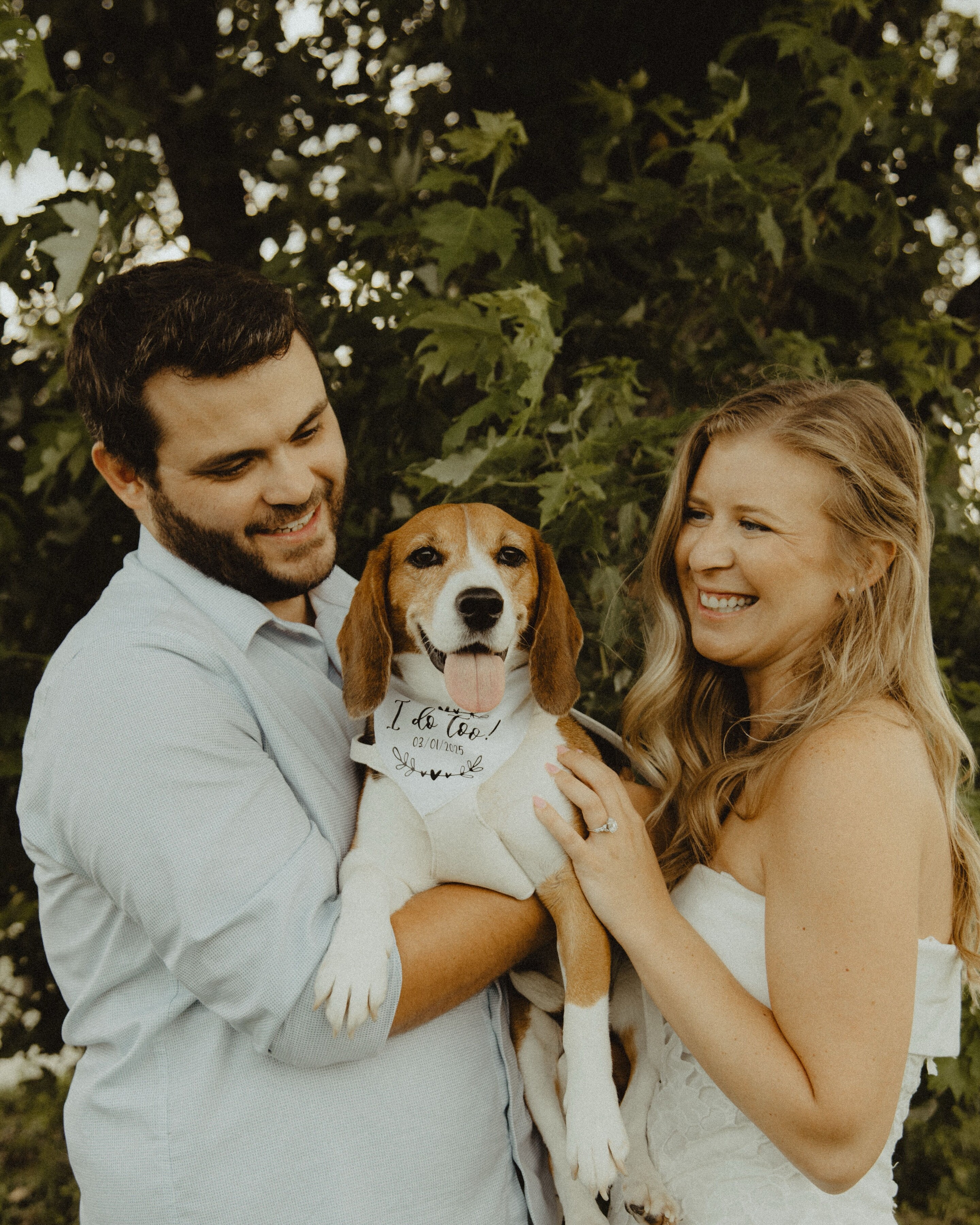 Dyer & Emme Home Page Banner