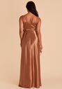 Birdy Grey Cindy Dress in Satin Rust V-Neck Bridesmaid Dress - thumbnail - 5