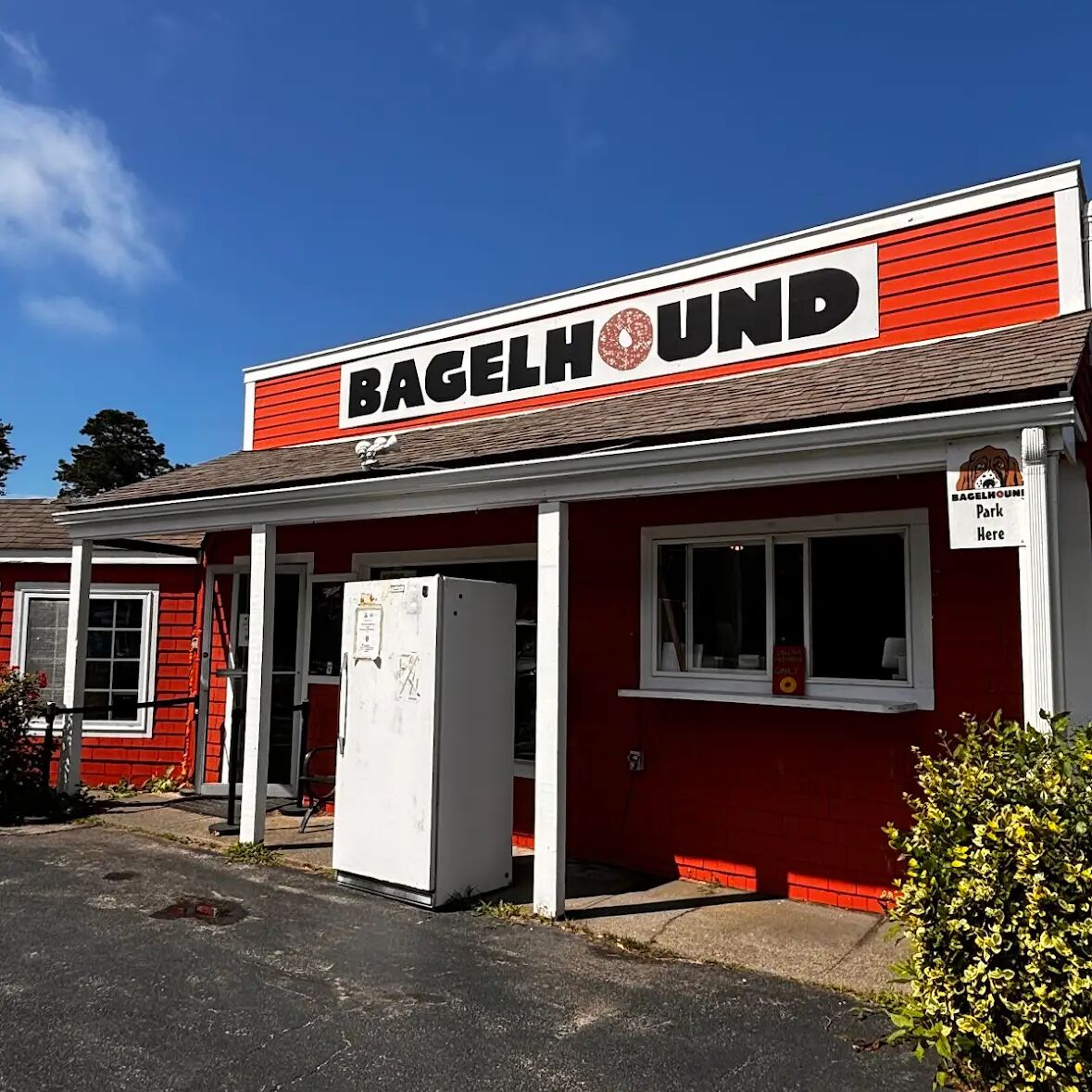 Picture of Bagel Hound